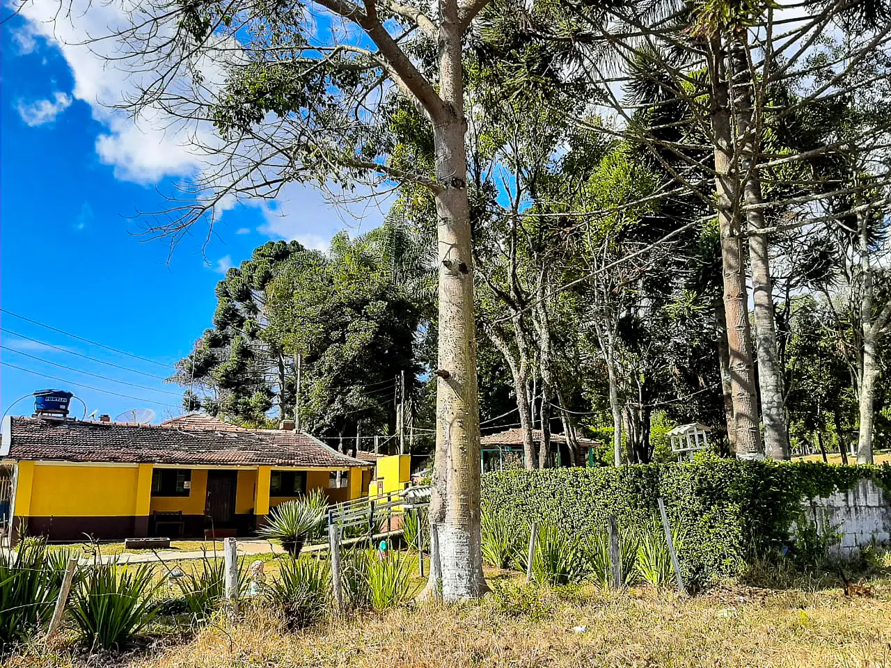 Clínica de Recuperação em Poços de Caldas - MG
